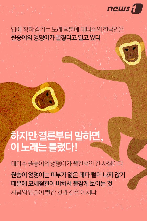 본문 이미지 - ⓒ News1