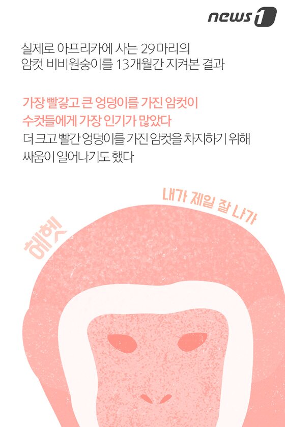 본문 이미지 - ⓒ News1
