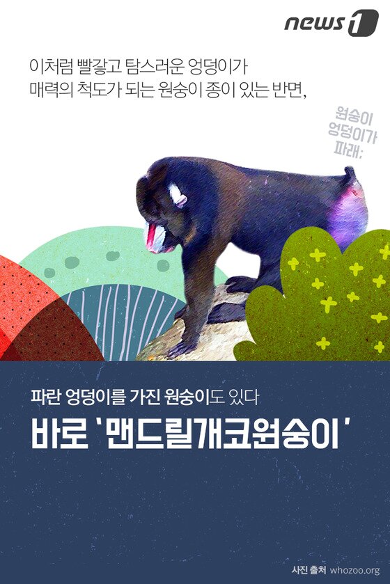 본문 이미지 - ⓒ News1
