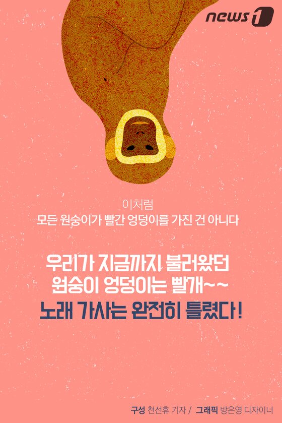 본문 이미지 - ⓒ News1