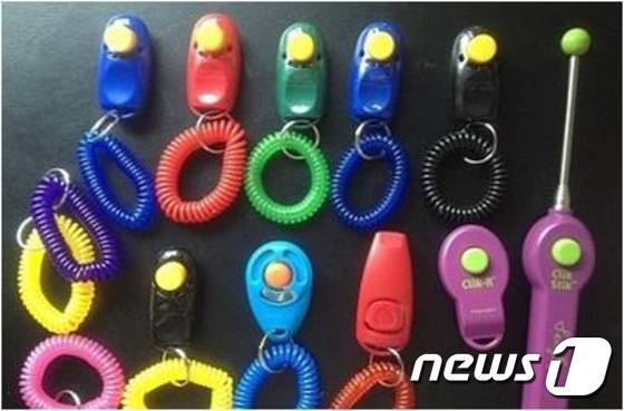 본문 이미지 - 버튼형 타입의 클리커ⓒ News1