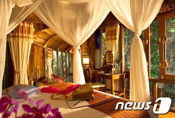 본문 이미지 - 나무로 둘러싸인 빌라는 자연과 함께 조화로운 형태를 이뤄져 휴식을 취하기에 안성맞춤이다. 사진 제공/ 허니문리조트 ⓒ News1travel
