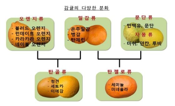 본문 이미지 - ⓒ News1