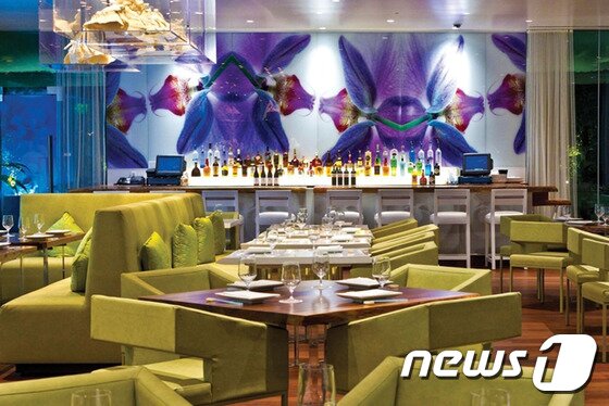 본문 이미지 - 모리모토 와이키키는 아이언 쉐프의 우승자 마사하루 모리모토가 오픈한 레스토랑이다. 사진 제공/ 허니문리조트 ⓒ News1