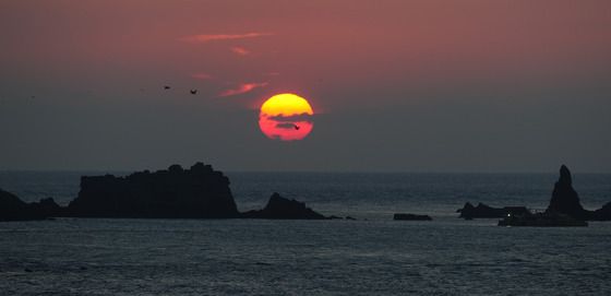 [오늘의 날씨] 제주(31일, 화)…구름 사이로 해넘이 보일 듯