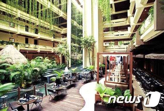 본문 이미지 - 올 인클루시브 리조트로 운영되는 파라디수스 칸쿤 리조트는 요금에 모든 음식과 음료, 주료 일체(와인, 일부 품목 제외) 등이 포함되어 있으며 호텔 수영장, 키즈 클럽, 헬스클럽까지 추가 요금 없이 이용 가능하다. 사진 제공/ 허니문리조트 ⓒ News1