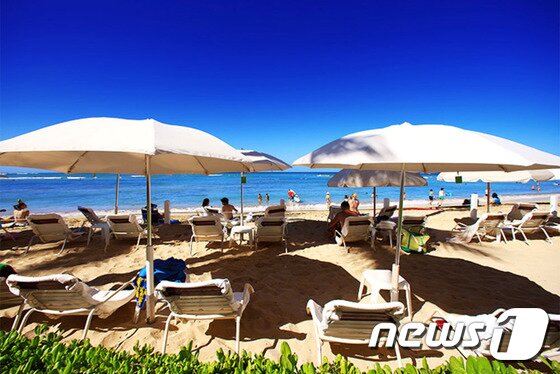 본문 이미지 - 웨스틴 모아나 서프라이더는 하와이 오아후 섬의 와이키키 해변 중심에 자리 잡고 있다. 사진 제공/ 허니문리조트 ⓒ News1travel