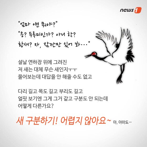 본문 이미지 - 2015.02.13/뉴스1 ⓒ News1