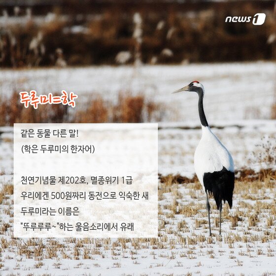 본문 이미지 - 2015.02.13/뉴스1 ⓒ News1