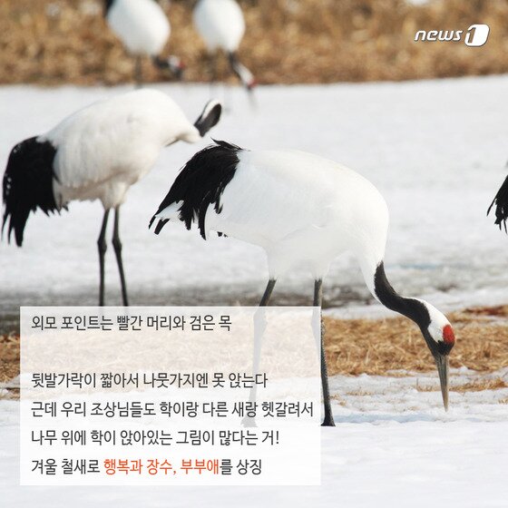 본문 이미지 - 2015.02.13/뉴스1 ⓒ News1