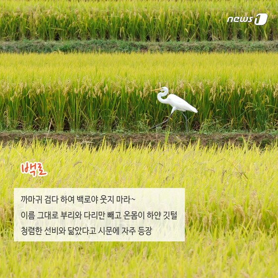 본문 이미지 - 2015.02.13/뉴스1 ⓒ News1