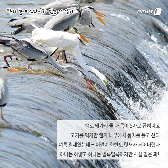 본문 이미지 - 2015.02.13/뉴스1 ⓒ News1