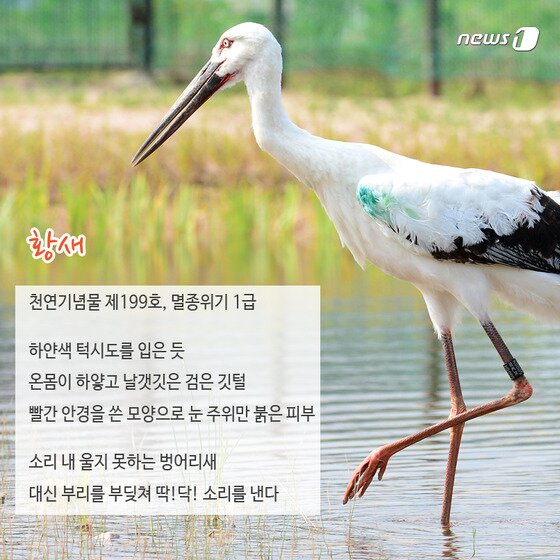 본문 이미지 - 2015.02.13/뉴스1 ⓒ News1