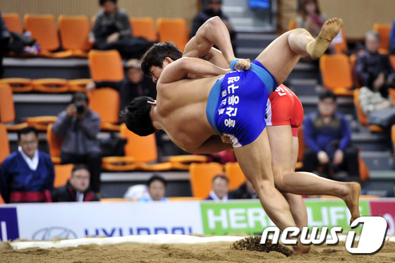 (경산=뉴스1) 정훈진 기자 = 박현욱 경기 안산시청이 17일 경북 경산실내체육관에서 치러진  2015 설날장사씨름대회 태백장사전(80kg)이하 16강전에서 배지기로 이진형 울산 …