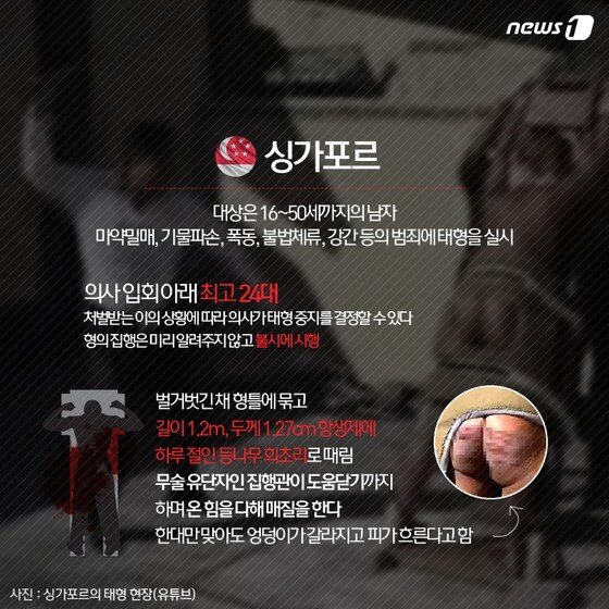 본문 이미지 - 2015.02.02/뉴스1 ⓒ News1