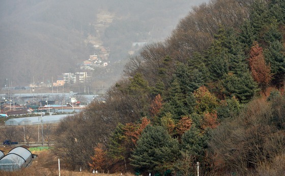 '소나무재선충 확산 차단'…밀양시, 소나무 이동 특별단속