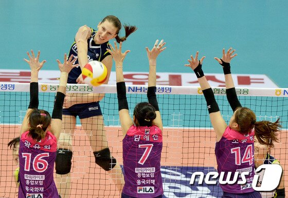 본문 이미지 - 26일 오후 경기도 수원실내체육관에서 열린 NH농협 2014-15 프로배구 V리그 여자부 현대건설과 흥국생명의 경기에서 현대건설 폴리가 공격을 시도하고 있다. 2015.2.26/뉴스1 ⓒ News1 이재명 기자