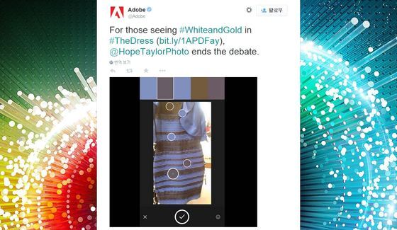 본문 이미지 - 어도비(Adobe)사의 트위터. ⓒ News1