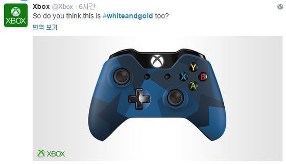 본문 이미지 - "이것도 '화이트골드' 같니?". ⓒ News1