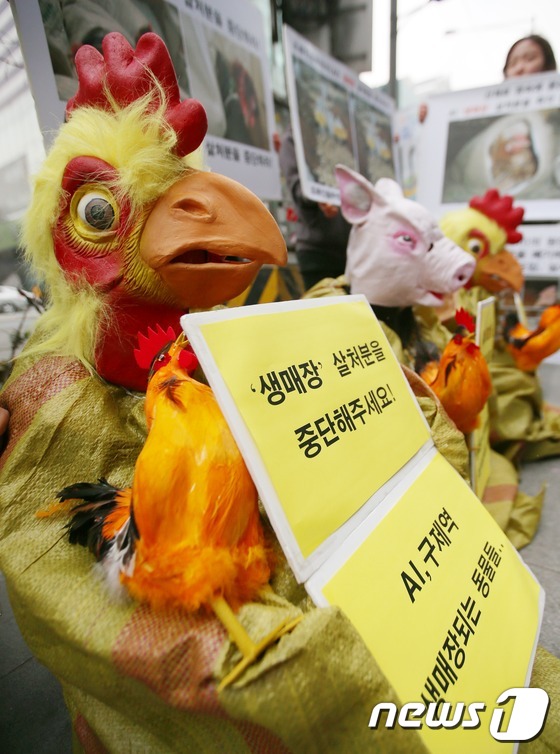 동물보호연합 '생매장·살처분 중단하라'