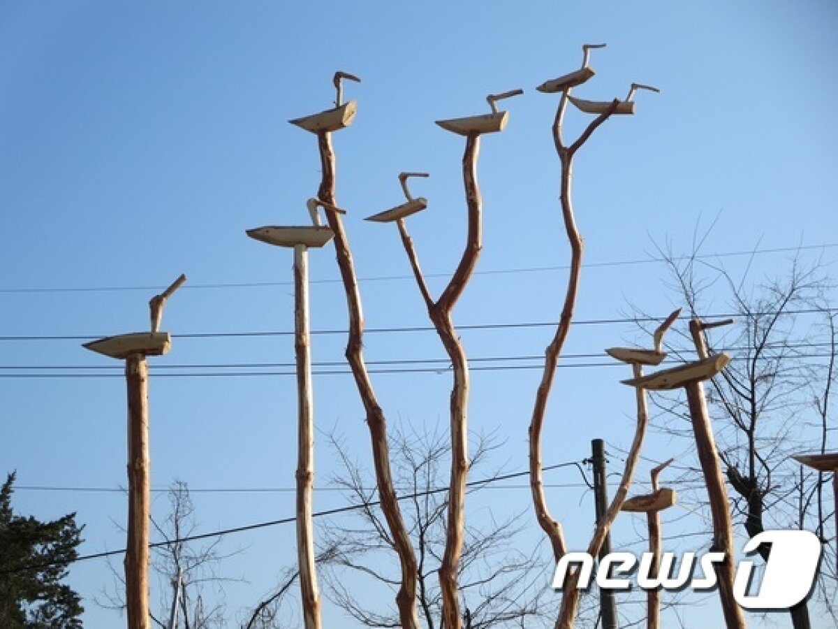 [풍경]청양군, 솟대로 마을 안녕과 수호 기원 - 뉴스1