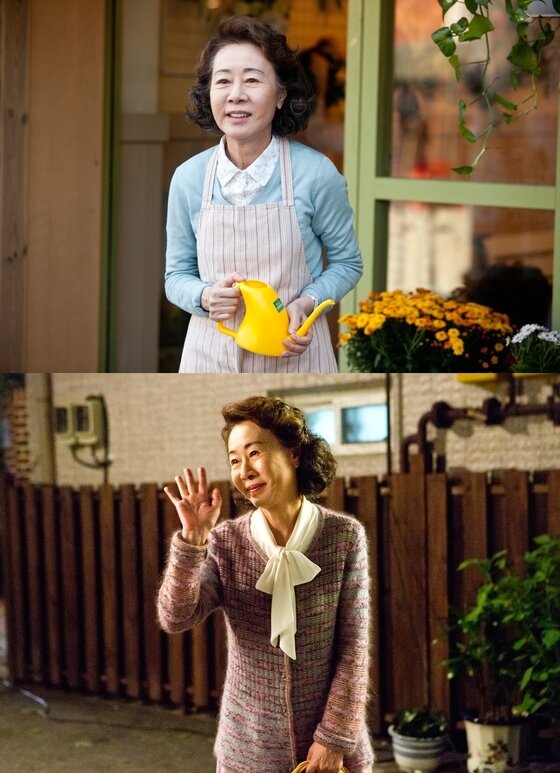 본문 이미지 - 영화 '장수상회'로 윤여정이 연기 변신에 나선다. ⓒ 뉴스1스포츠 / 영화 ´장수상회´ 스틸