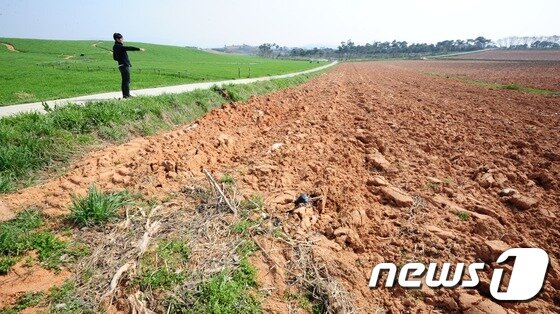 본문 이미지 - 고창청보리밭 축제를 앞둔 17일 오전 전북 고창군 공음면 학원농장 청보리밭 도깨비 이야기길 옆 청보리 밭이 파해쳐져 있어 경관을 해치고 있다.이 땅은 이강수 전 고창군수 부부가 소유하고 있다. 제12회 고창 청보리밭 축제는 18일부터 다음달 10일까지 23일 간 진행된다.2015.4.17/뉴스1 2015.04.17/뉴스1 ⓒ News1 김대웅 기자
