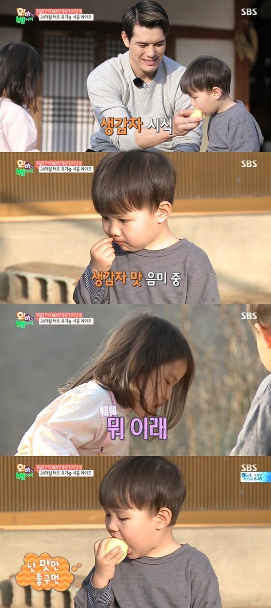 본문 이미지 - 태오가 생감자마저 음미했다. ⓒ News1스포츠 / SBS &acute;오 마이 베이비&acute; 캡처