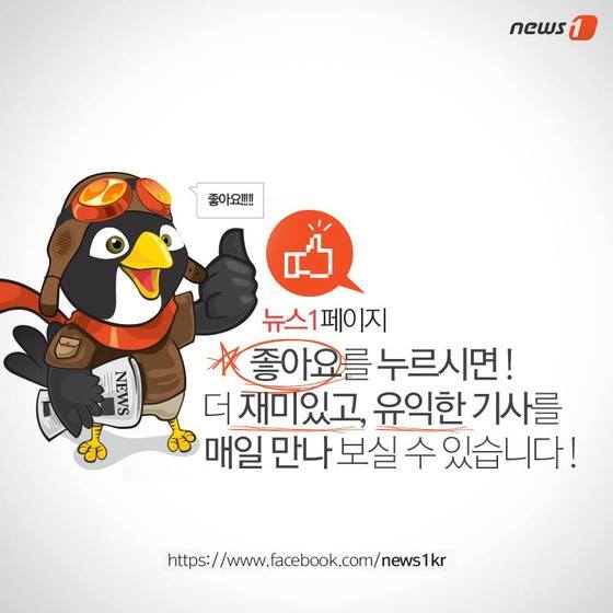 본문 이미지 - ⓒ News1