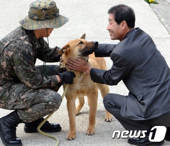 본문 이미지 - 22일 제1야전군사령부 춘천 군견교육대에서 민간인이 퇴역 군견을 양도받고 있다. 이날 군견교육대는 국방의 의무를 다한 군견 34마리를 민간인에게 양도했다. 2015.4.22/뉴스1 ⓒ News1 황준 기자
