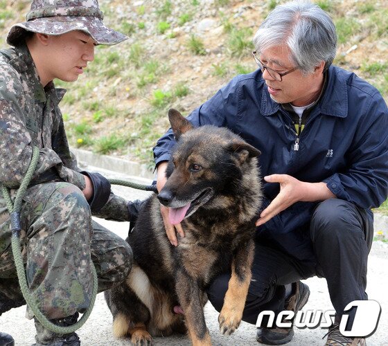 본문 이미지 - 22일 제1야전군사령부 춘천 군견교육대에서 민간인이 퇴역 군견을 양도받고 있다. 이날 군견교육대는 국방의 의무를 다한 군견 34마리를 민간인에게 양도했다. 2015.4.22/뉴스1 ⓒ News1 황준 기자