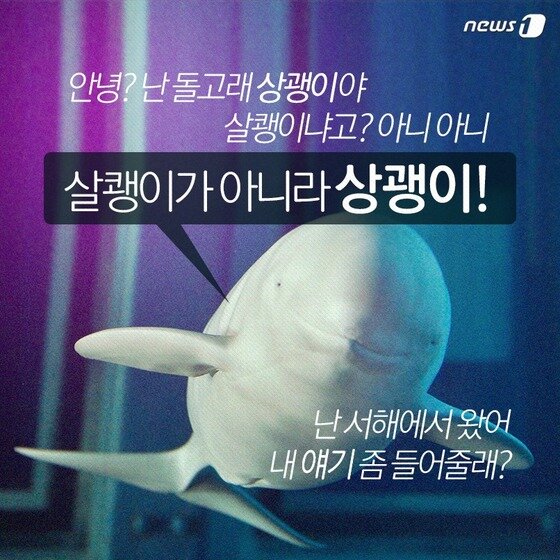 본문 이미지 - 2015.04.28/뉴스1 ⓒ News1