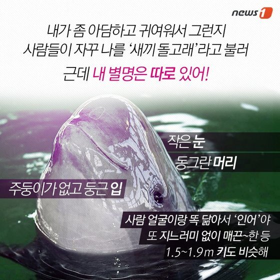 본문 이미지 - 2015.04.28/뉴스1 ⓒ News1