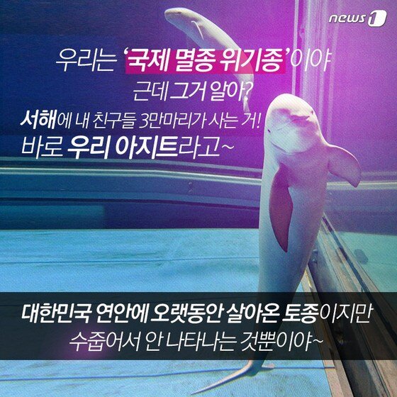 본문 이미지 - 2015.04.28/뉴스1 ⓒ News1