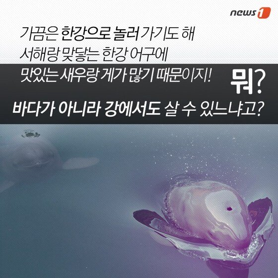 본문 이미지 - 2015.04.28/뉴스1 ⓒ News1