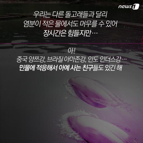 본문 이미지 - 2015.04.28/뉴스1 ⓒ News1