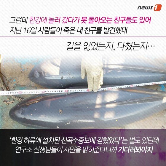 본문 이미지 - 2015.04.28/뉴스1 ⓒ News1