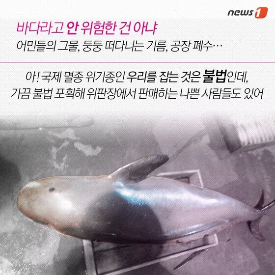 본문 이미지 - 2015.04.28/뉴스1 ⓒ News1