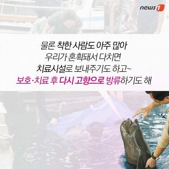 본문 이미지 - 2015.04.28/뉴스1 ⓒ News1