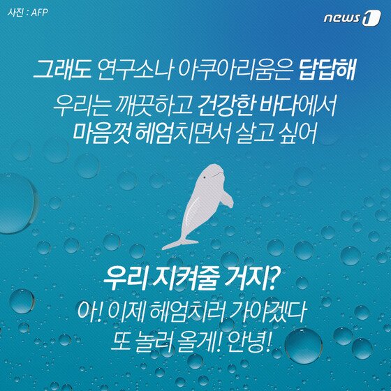 본문 이미지 - 2015.04.28/뉴스1 ⓒ News1