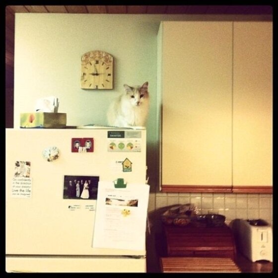 본문 이미지 - 플라스틱 마감재를 사용한 1980년대 냉장고. ⓒ 씨넷