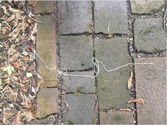 본문 이미지 - 개미시간(Ant Time),27.5x34cm,photo documentation,2014 / 사진제공 = ⓒ아르코미술관