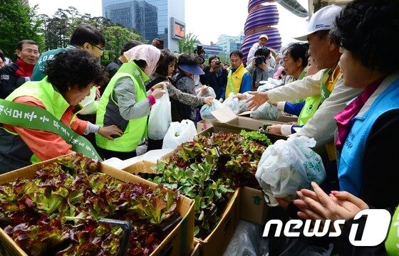 본문 이미지 - 농림축산식품부 관계자들이 지난 5월 서울 청계광장에서 시민들에게 상추 모종을 나눠주고 있다.  ⓒ News1 양동욱 기자