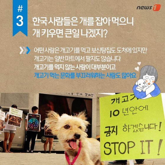 본문 이미지 - 2015.05.13/뉴스1 ⓒ News1