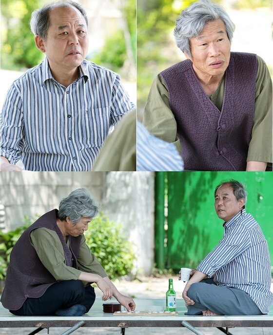 본문 이미지 - 유순웅 김기천이 '여자전쟁'에 출연한다. ⓒ News1 스포츠 / IPTV '여자전쟁' 스틸컷