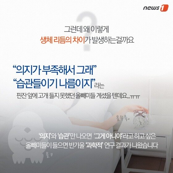 본문 이미지 - 2015.05.23/뉴스1 ⓒ News1