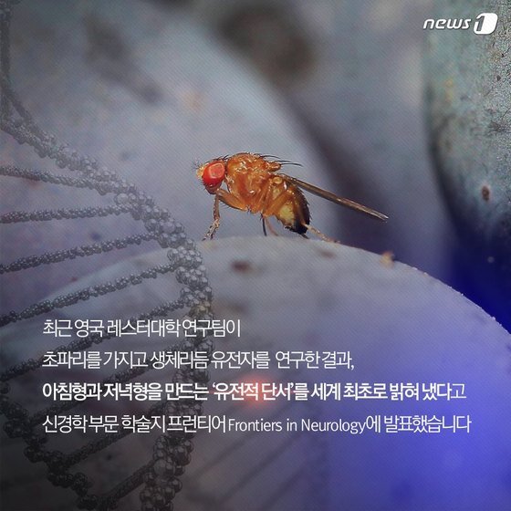 본문 이미지 - 2015.05.23/뉴스1 ⓒ News1