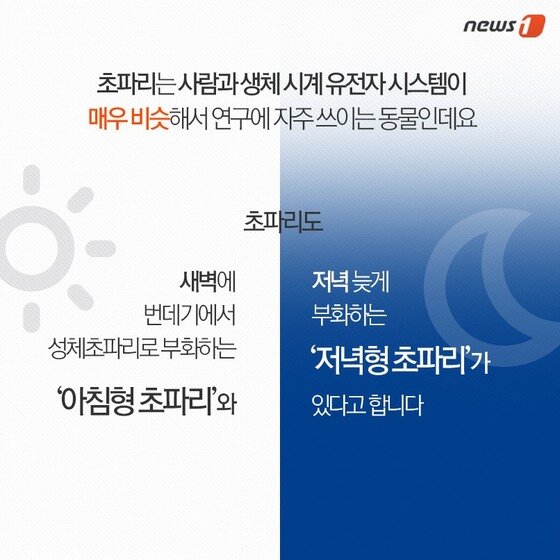 본문 이미지 - 2015.05.23/뉴스1 ⓒ News1