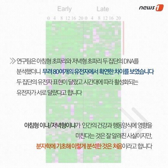 본문 이미지 - 2015.05.23/뉴스1 ⓒ News1