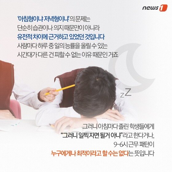 본문 이미지 - 2015.05.23/뉴스1 ⓒ News1